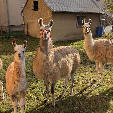 Ferienwohnungen Satkula Crostwitz Экстерьер фото
